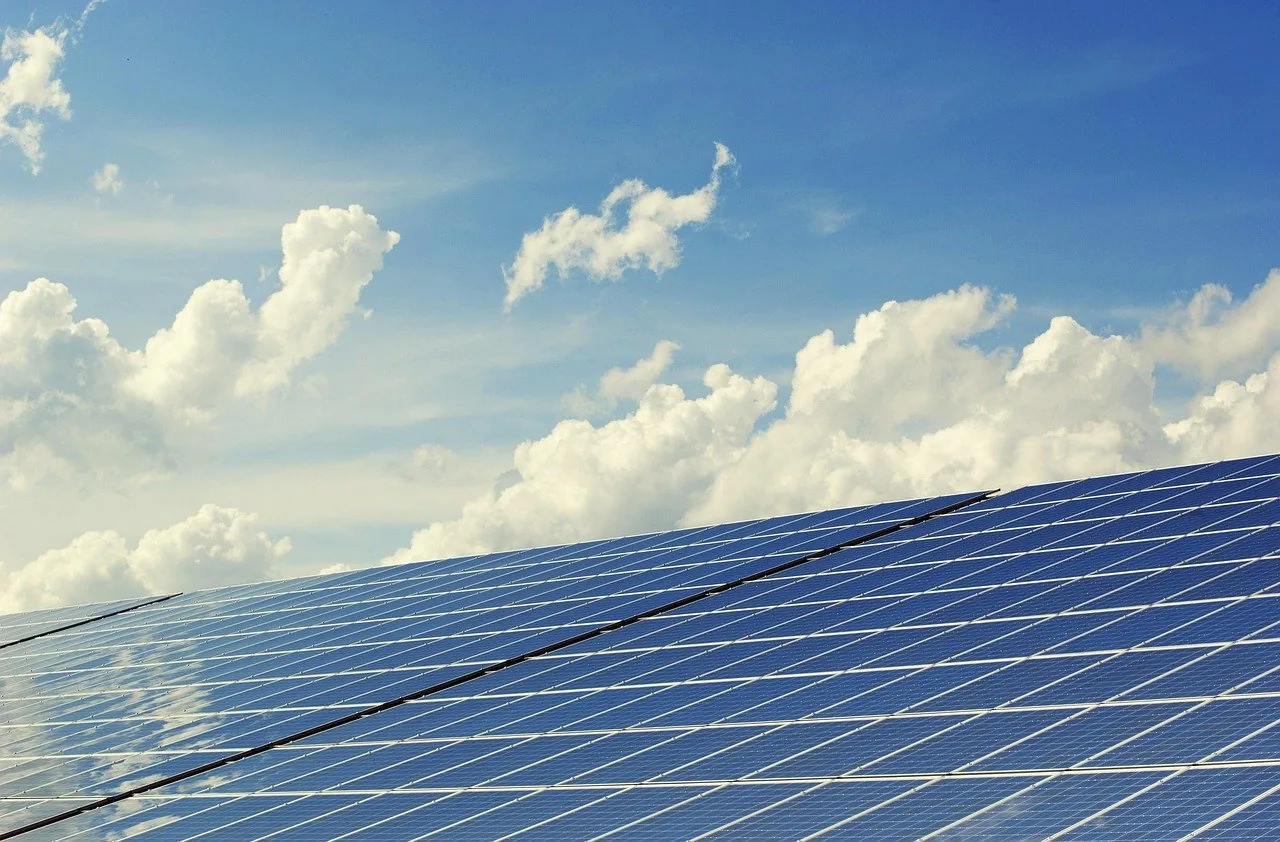 sustainable-vision